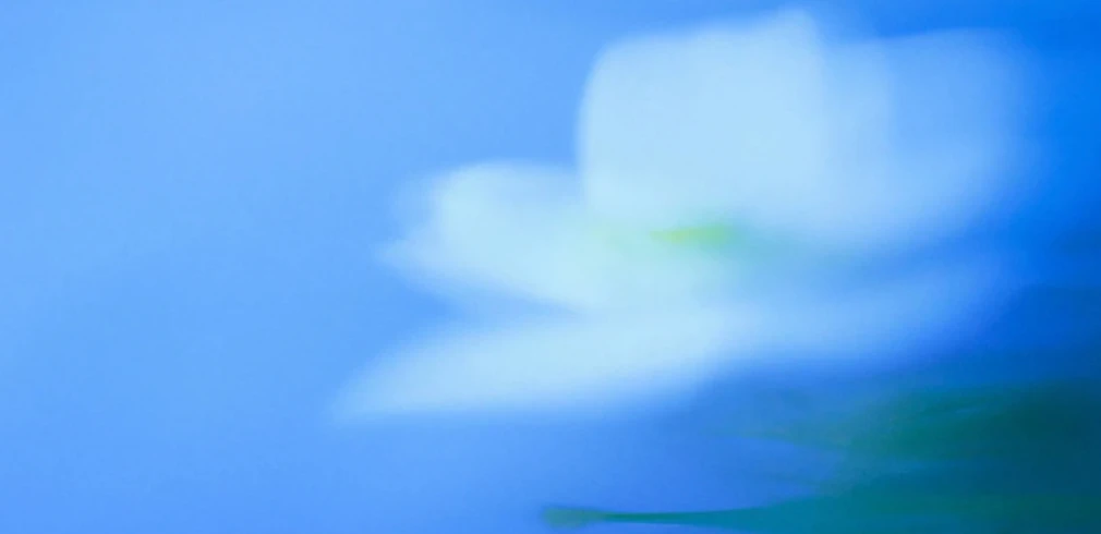 Cover image for Access NVIDIA: Llama 3.3 Nemotron Super 49B V1.5 via OpenRouter